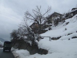 sniag