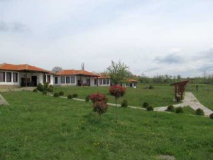Zlatograd 4