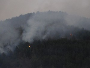 pojar 3