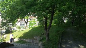 Klinar kosene1