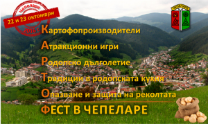 fest-kartof